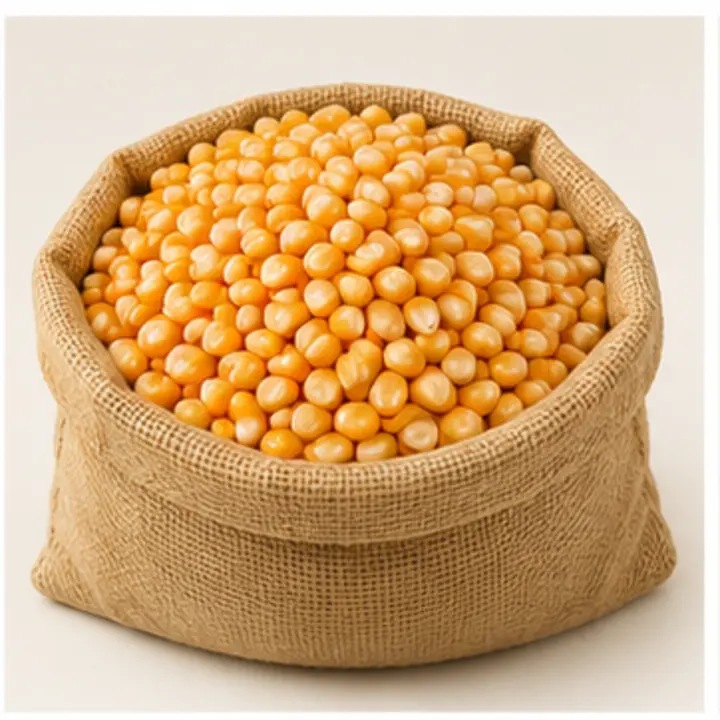 Yellow Maize export product