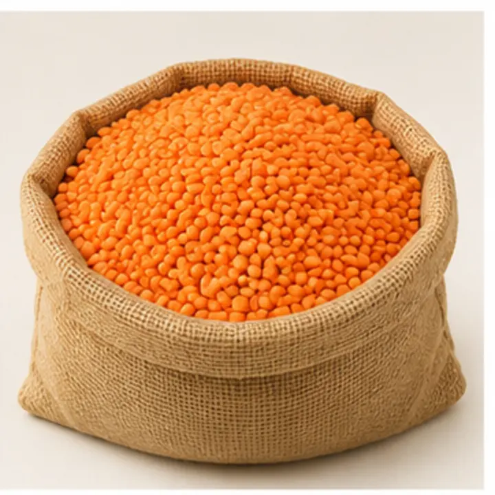 Red Lentils export product