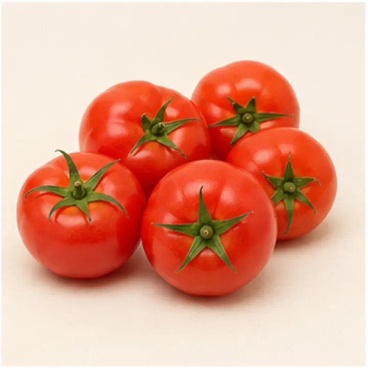 Tomatoes export product