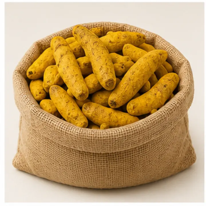 Turmeric Fingers export product